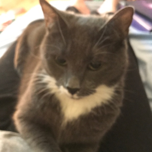 Meet your Posher, Corinne - Picture 1 of 1